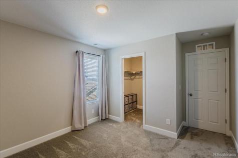 5157 Sirbal Drive Colorado Springs CO 80924