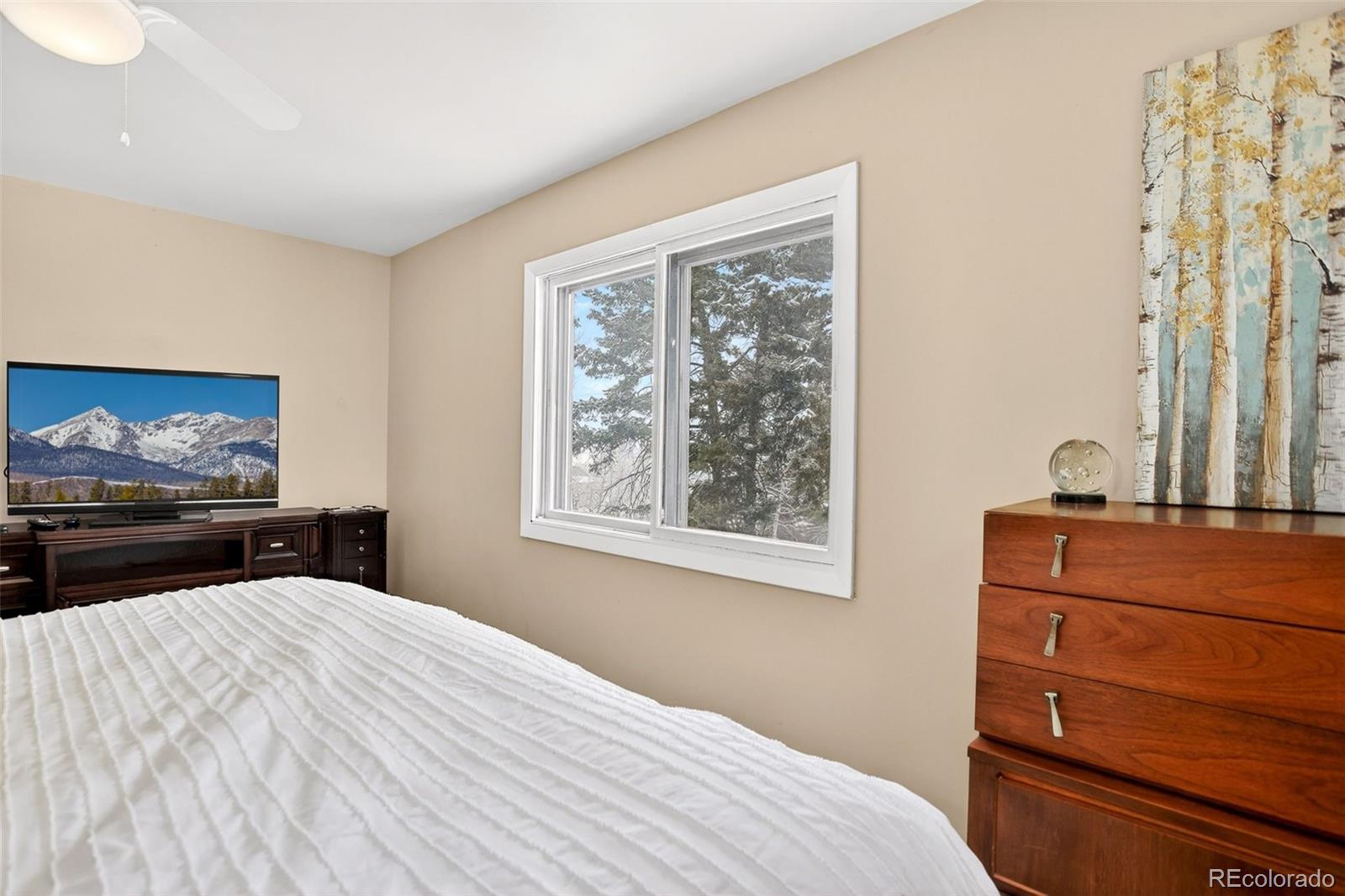 25807 Snyder Avenue Conifer CO 80433