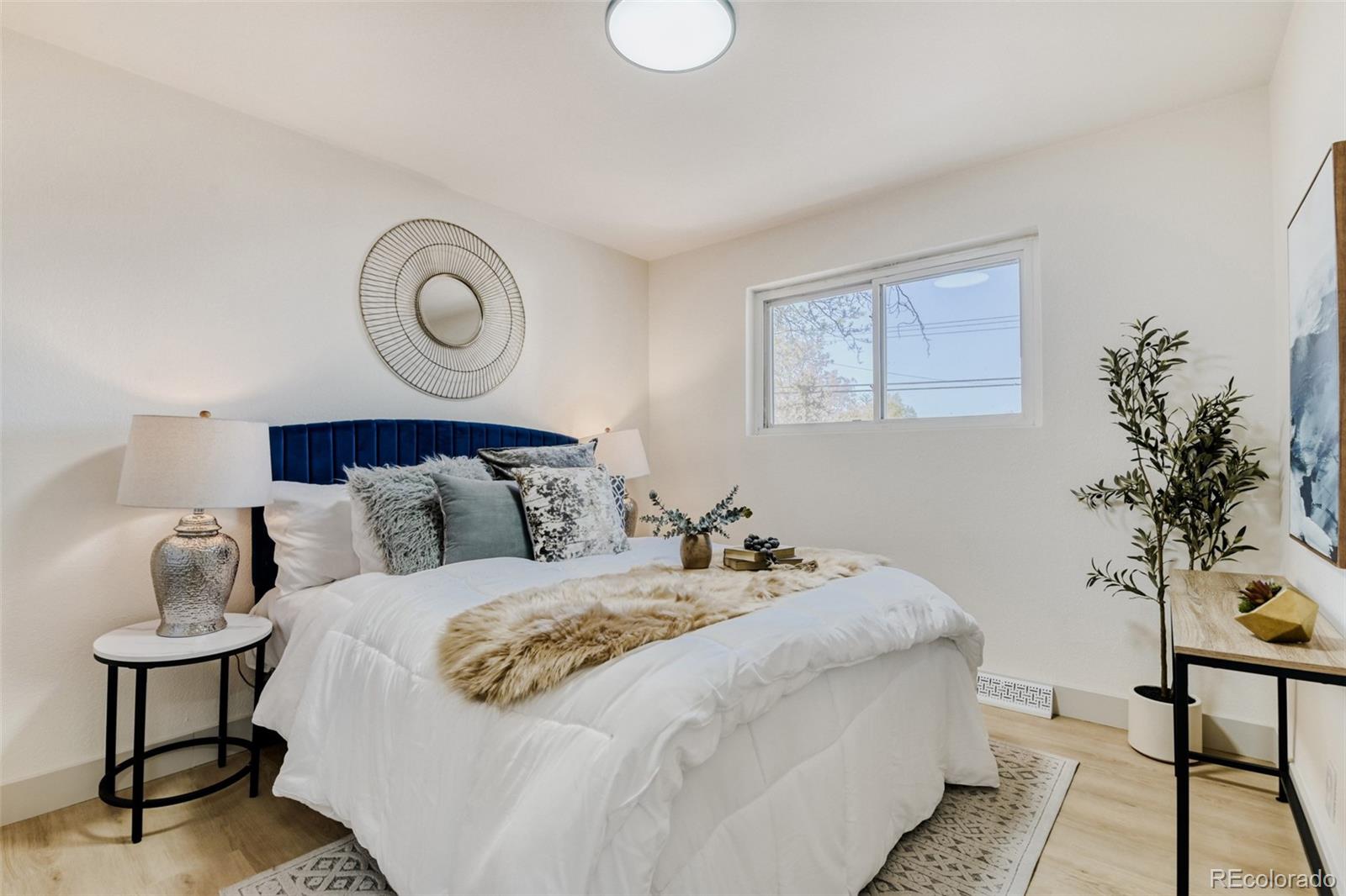 900 Essex Drive Denver CO 80229