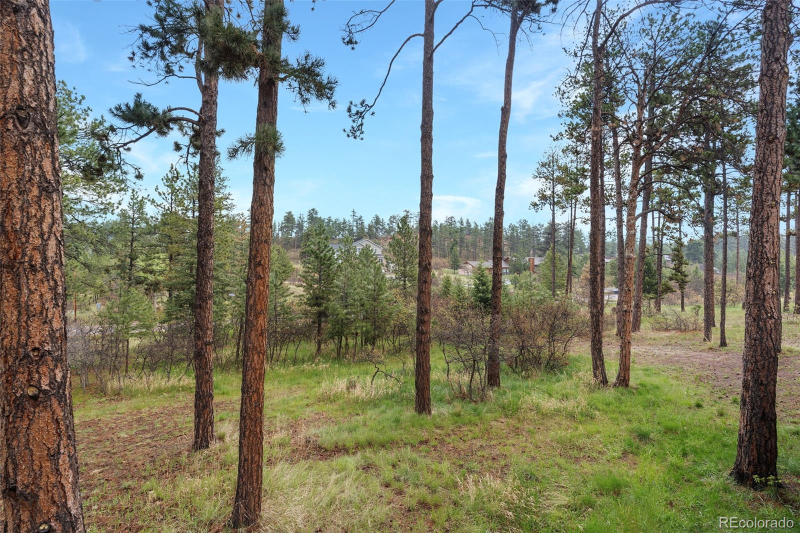8170 Red Rock Court Larkspur CO 80118