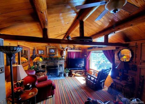 22585 County Road 292 Nathrop CO 81236