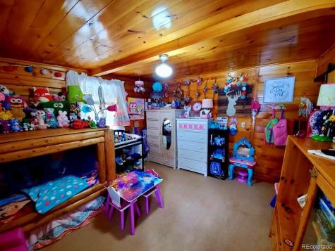 22585 County Road 292 Nathrop CO 81236