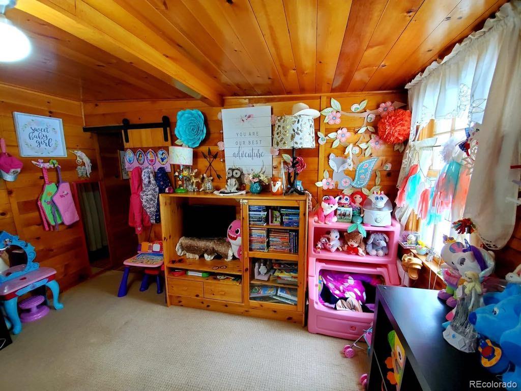 22585 County Road 292 Nathrop CO 81236
