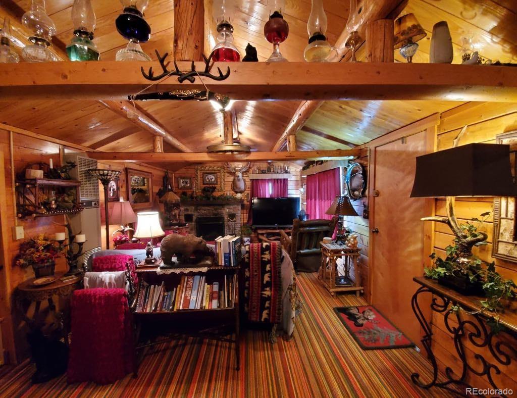 22585 County Road 292 Nathrop CO 81236