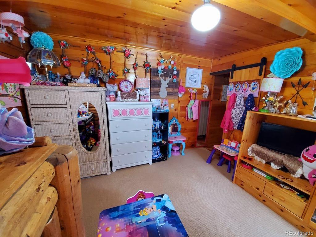 22585 County Road 292 Nathrop CO 81236