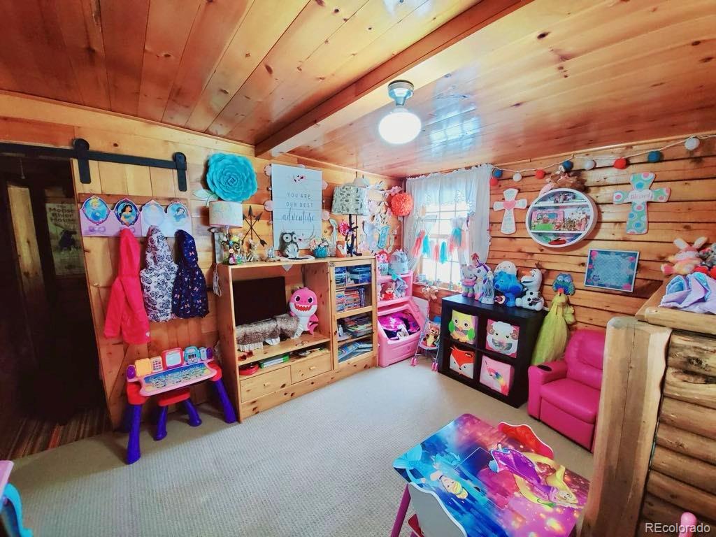 22585 County Road 292 Nathrop CO 81236