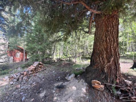 22585 County Road 292 Nathrop CO 81236