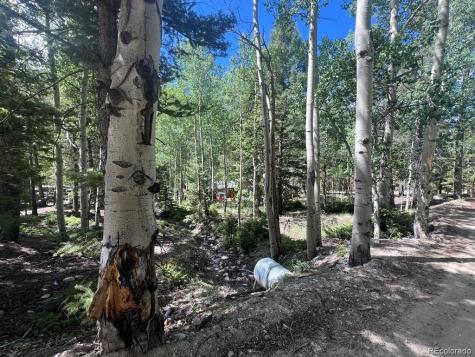 22585 County Road 292 Nathrop CO 81236