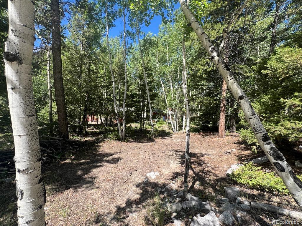 22585 County Road 292 Nathrop CO 81236