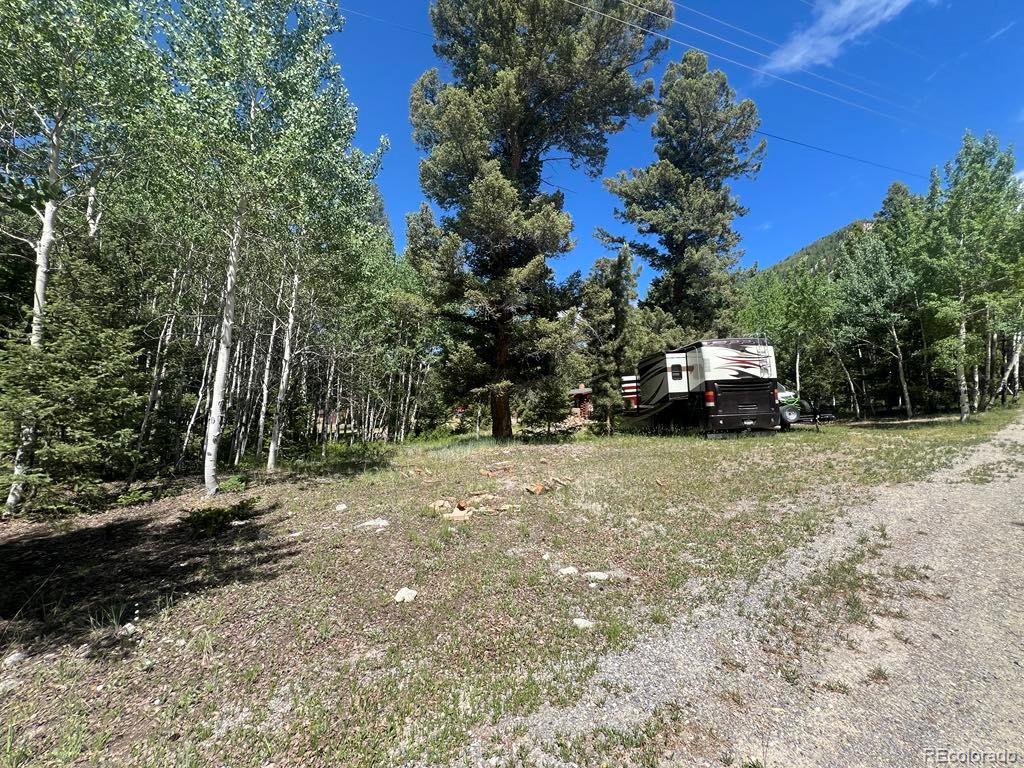 22585 County Road 292 Nathrop CO 81236