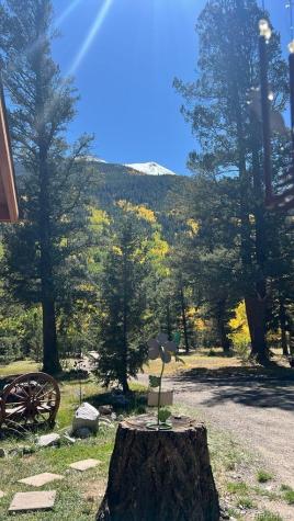 22585 County Road 292 Nathrop CO 81236