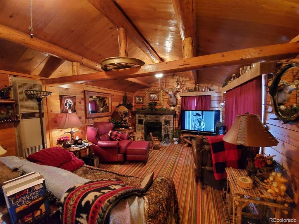 22585 County Road 292 Nathrop CO 81236