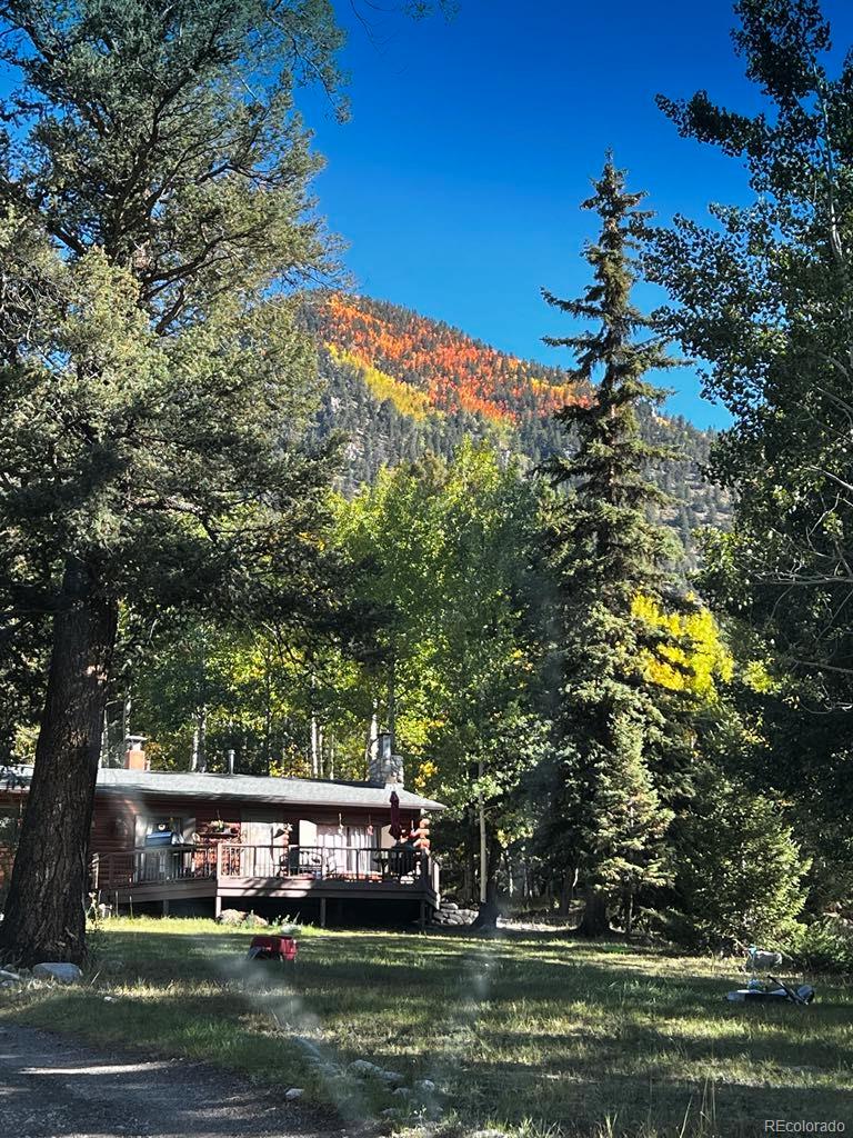 22585 County Road 292 Nathrop CO 81236