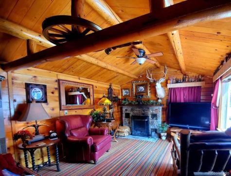 22585 County Road 292 Nathrop CO 81236