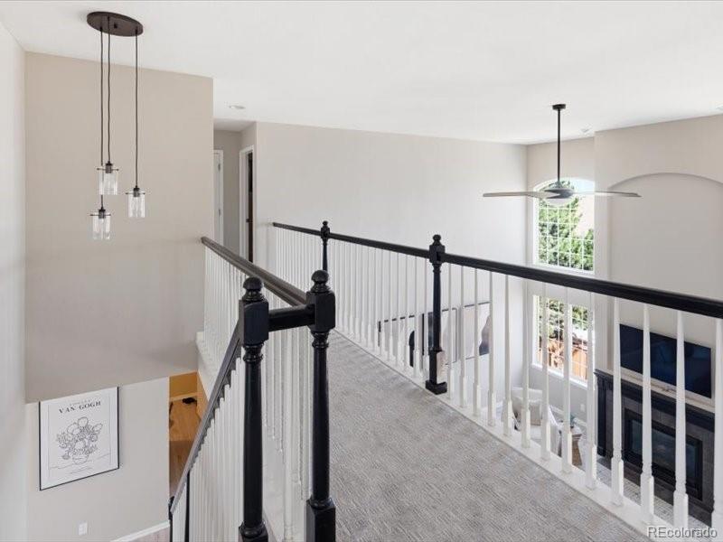 10048 Brisbane Way Highlands Ranch CO 80130