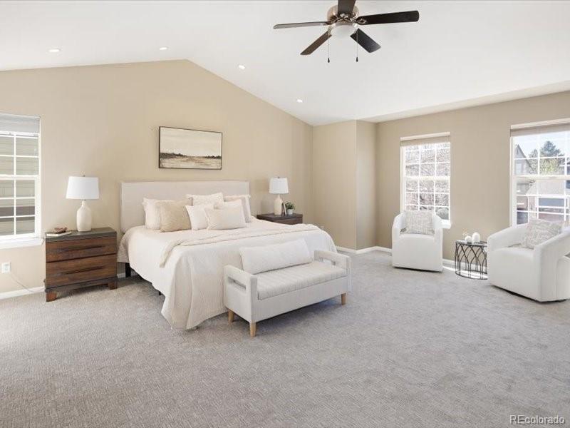 10048 Brisbane Way Highlands Ranch CO 80130