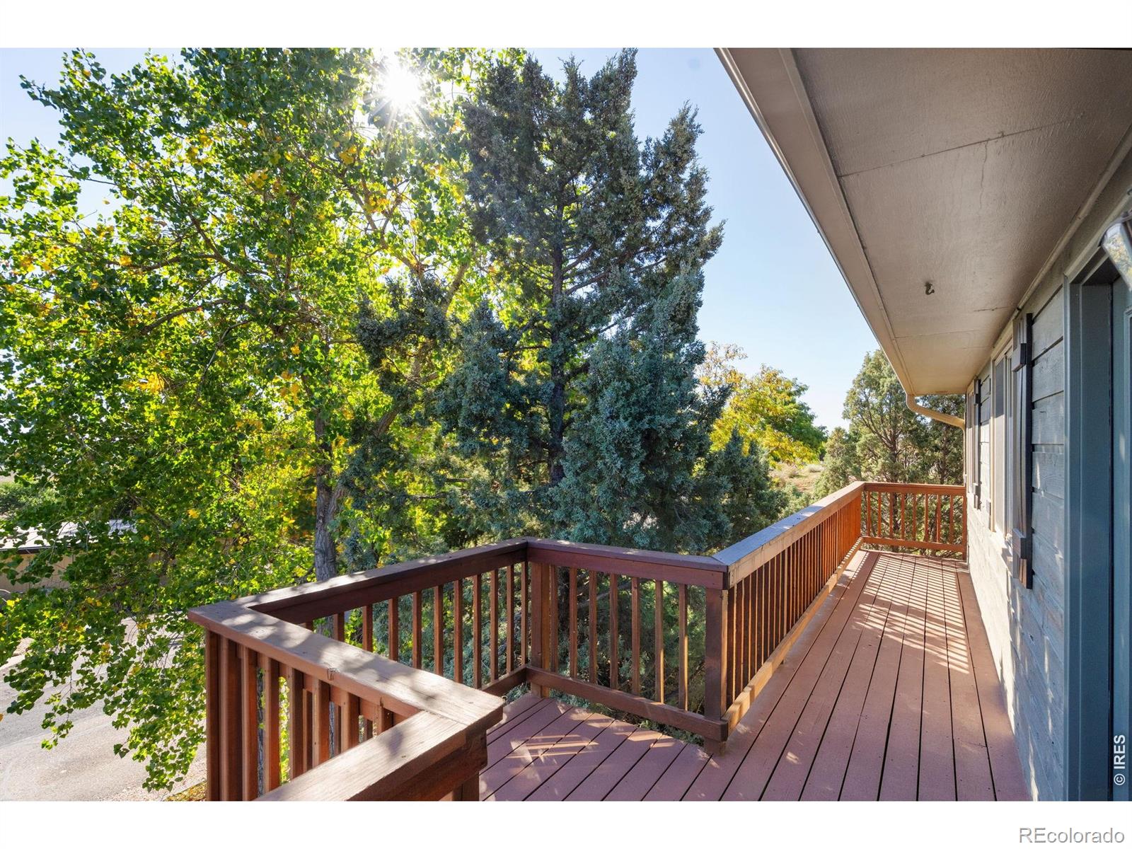 2301 Juniper Lane Loveland CO 80538