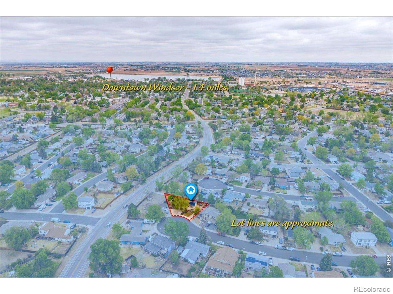 30 Tulip Court Windsor CO 80550