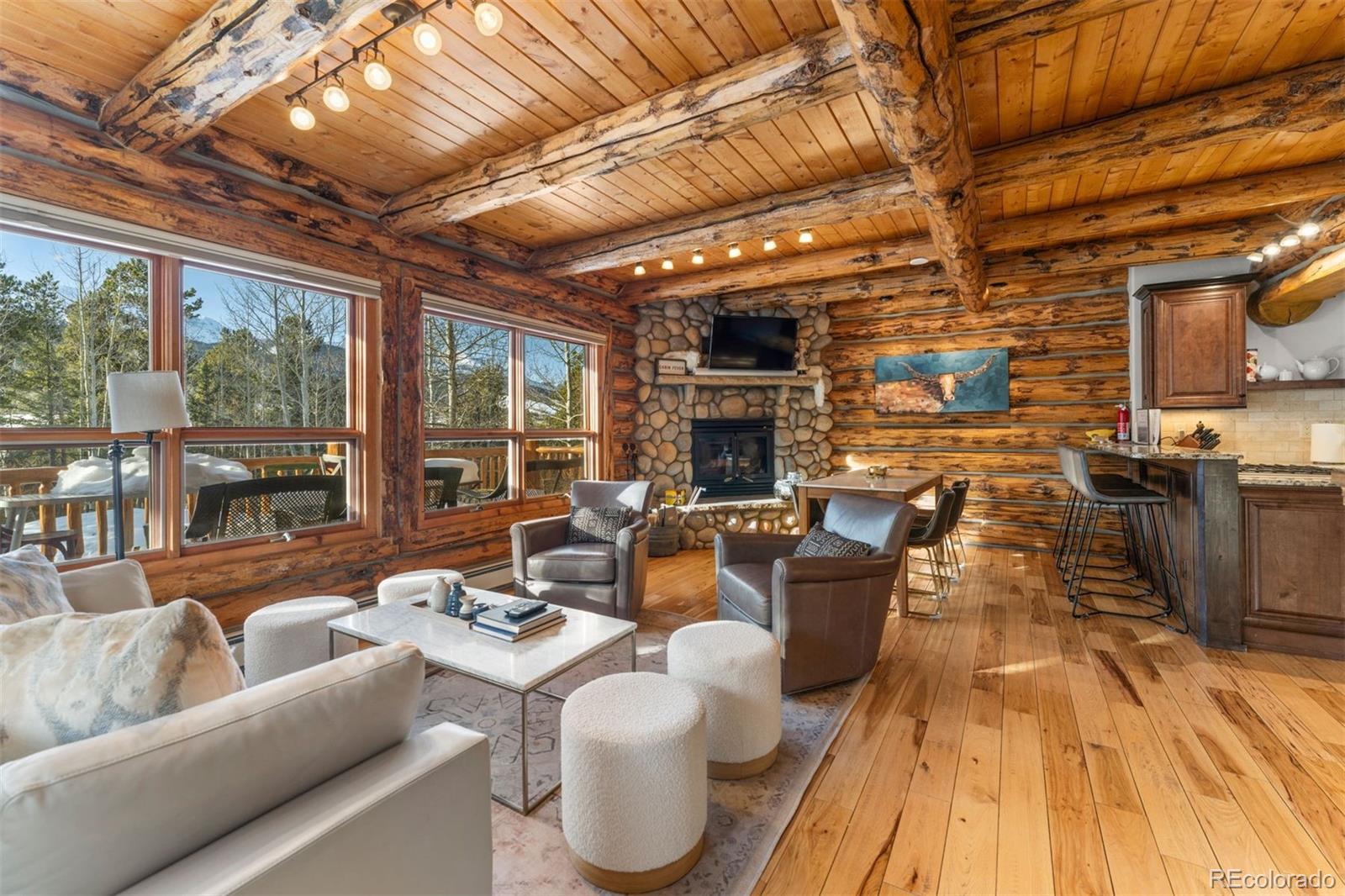 878 American Way Breckenridge CO 80424