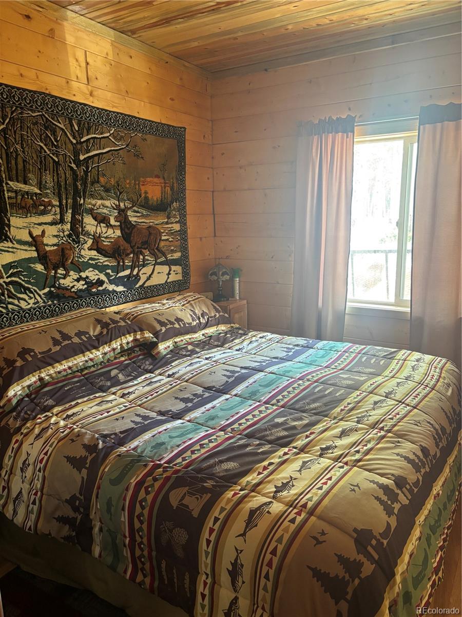 613 Alamosa Avenue Jasper CO 81140