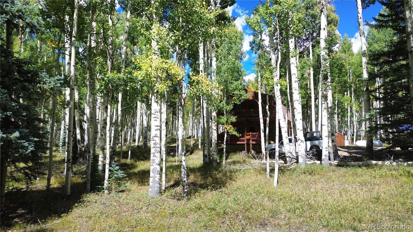 613 Alamosa Avenue Jasper CO 81140
