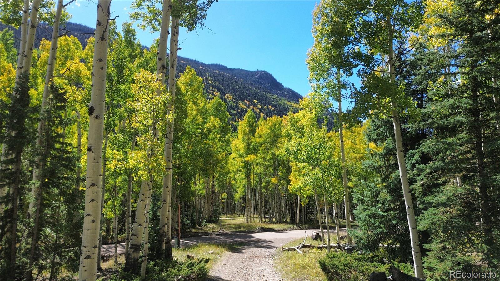 613 Alamosa Avenue Jasper CO 81140