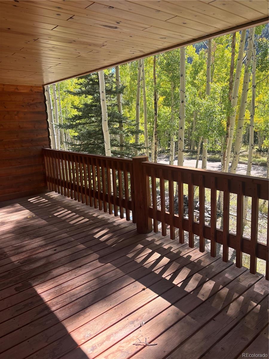 613 Alamosa Avenue Jasper CO 81140