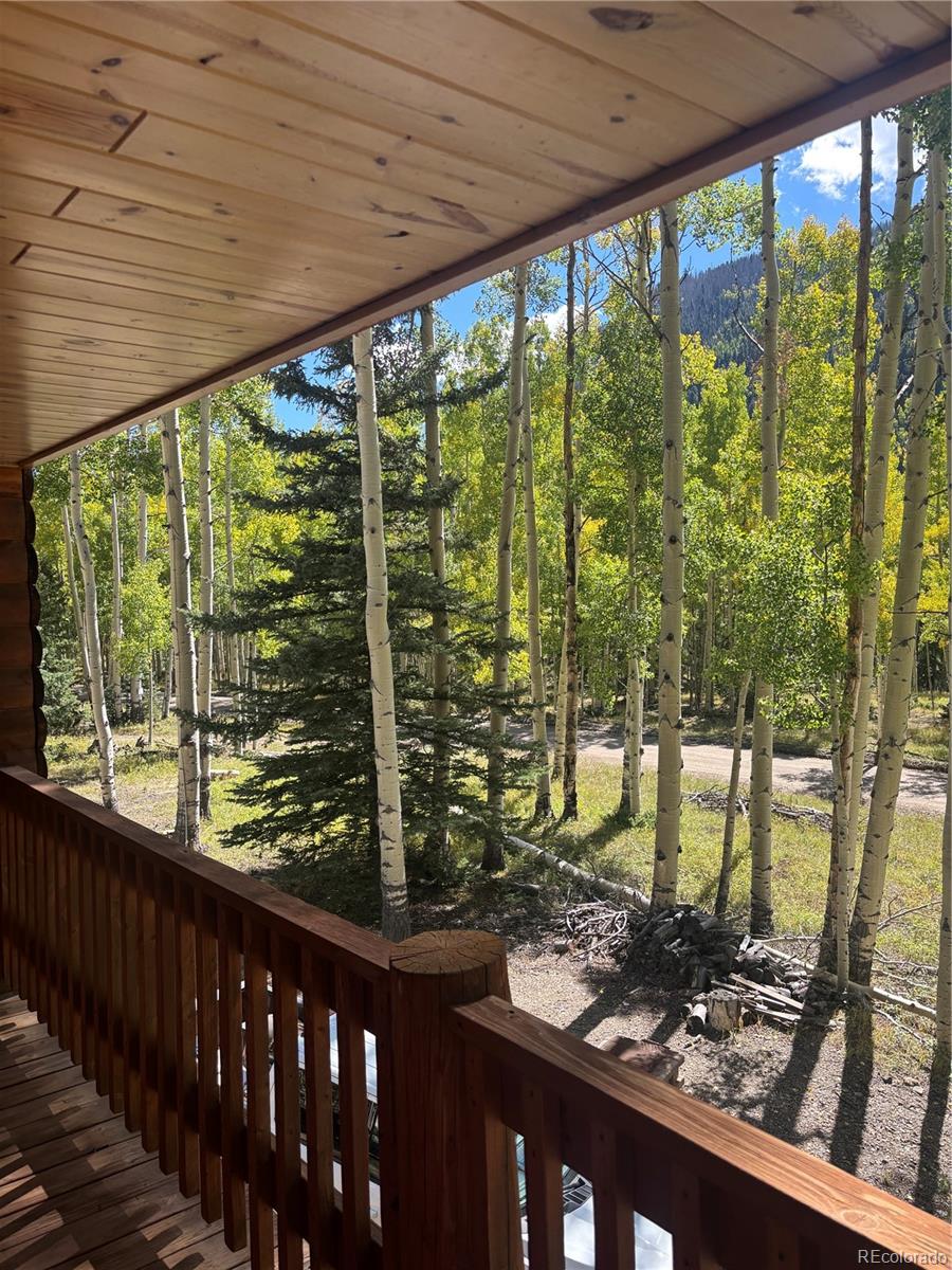 613 Alamosa Avenue Jasper CO 81140