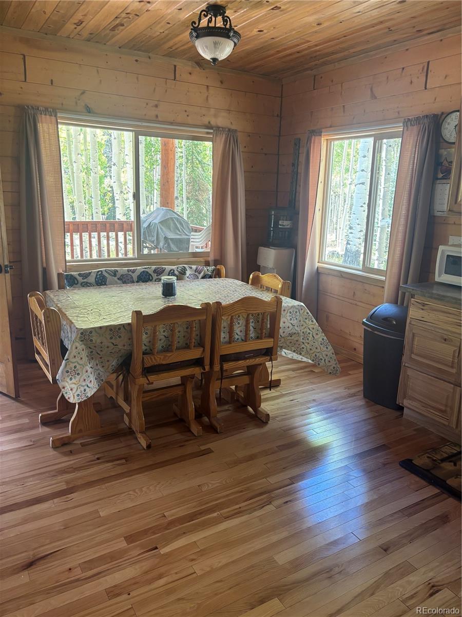 613 Alamosa Avenue Jasper CO 81140