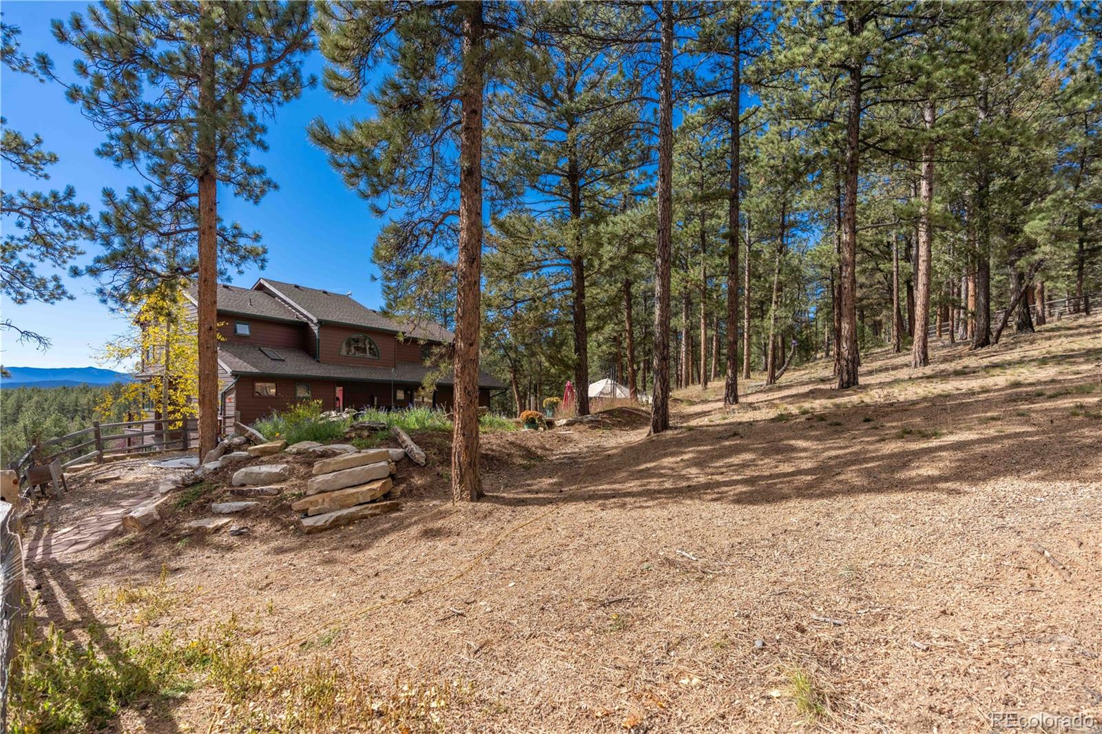 318 Road D Pine CO 80470