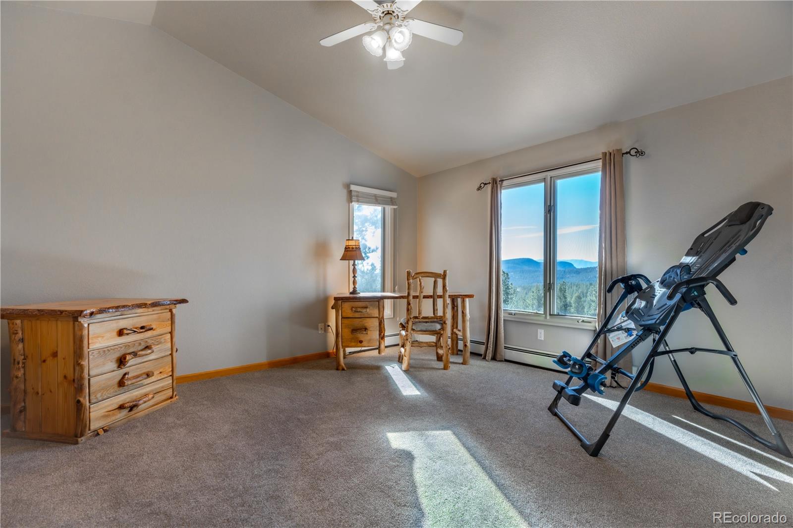 318 Road D Pine CO 80470