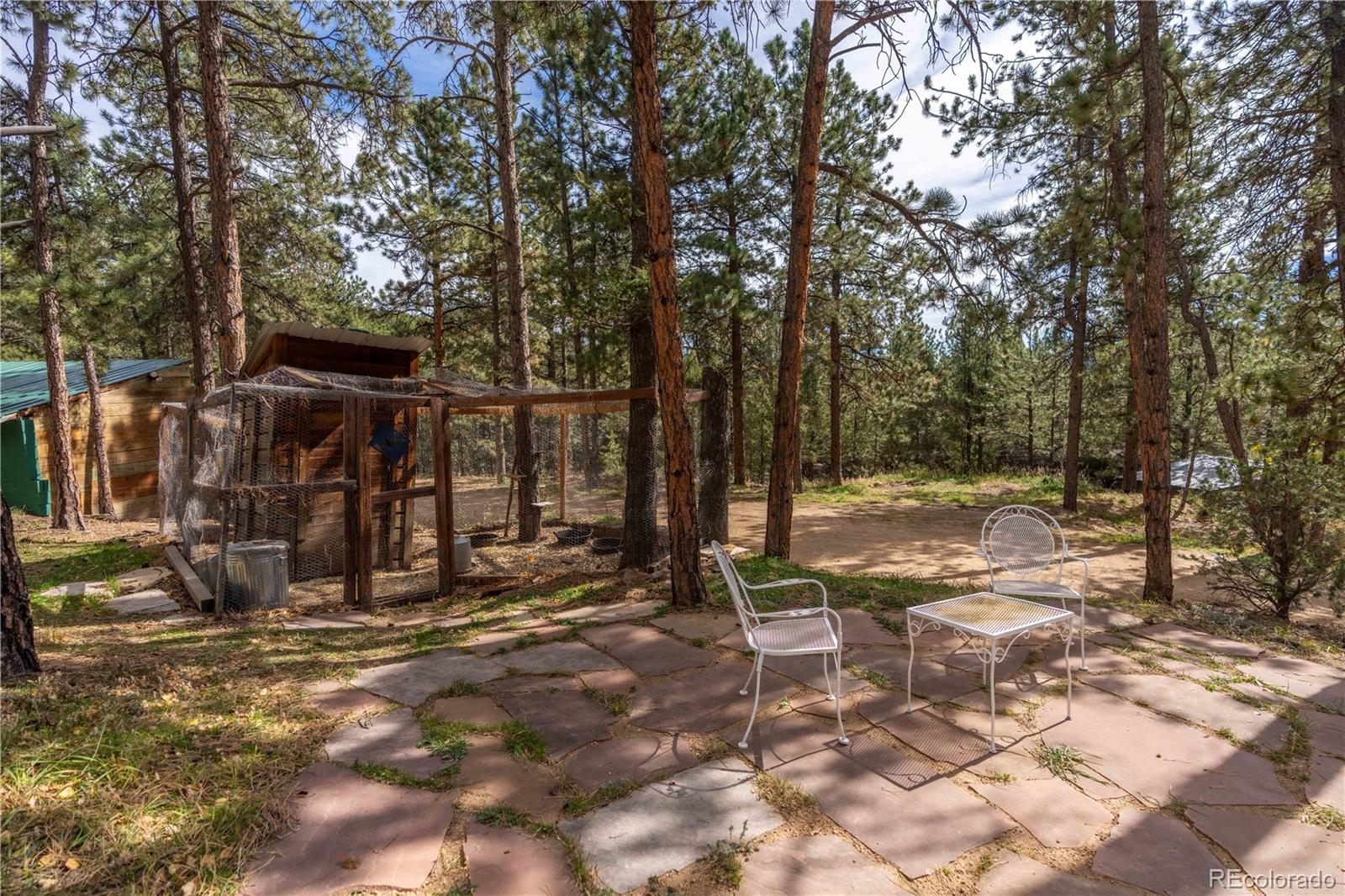 318 Road D Pine CO 80470