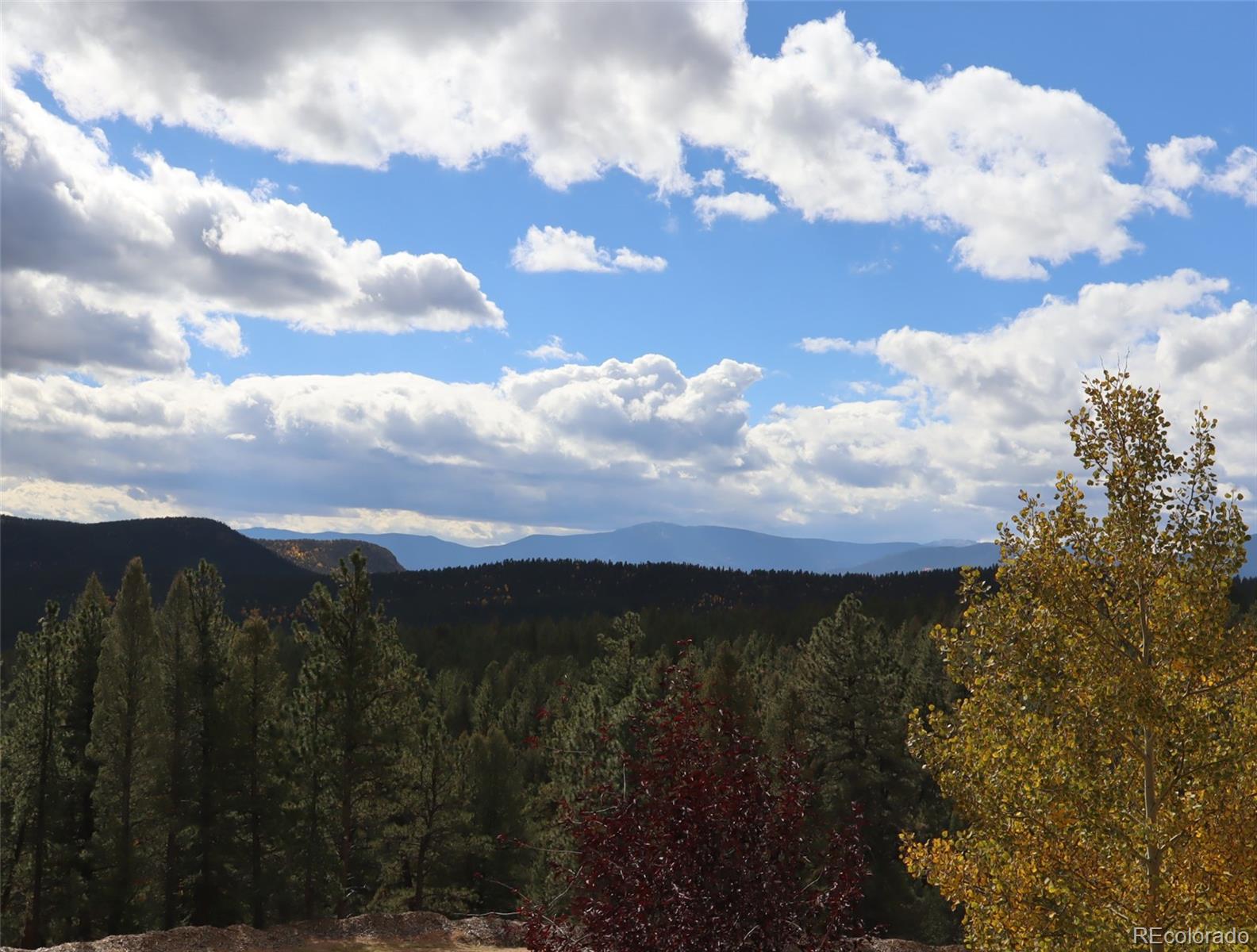 318 Road D Pine CO 80470