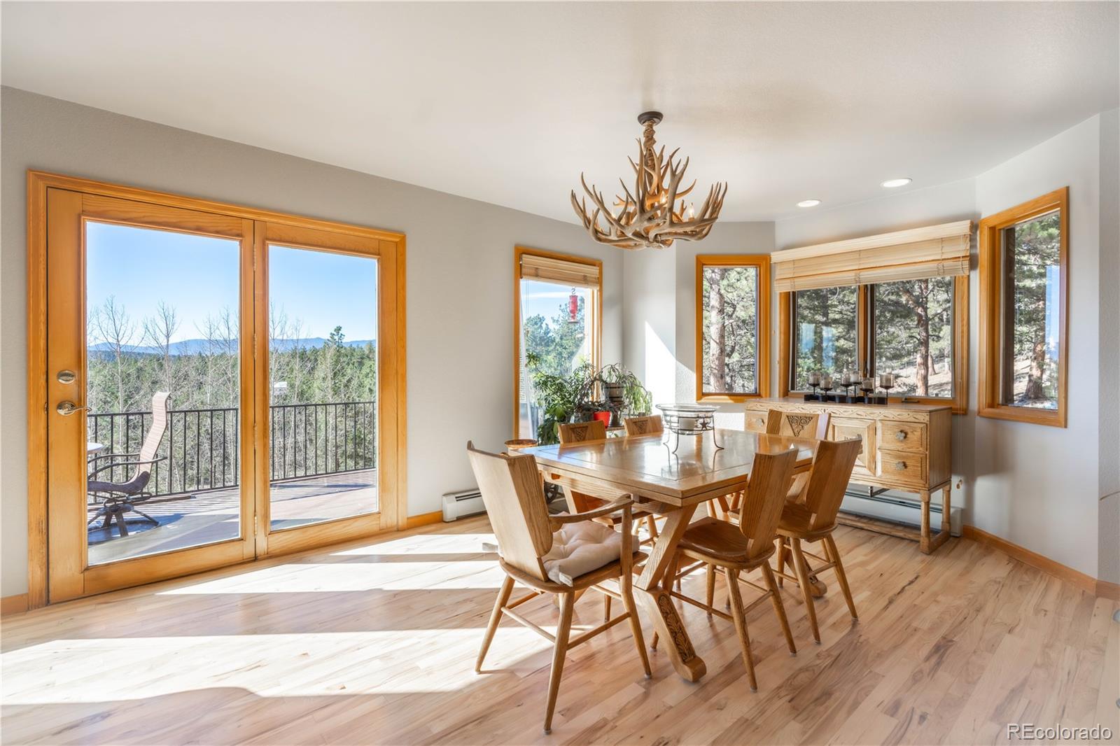 318 Road D Pine CO 80470