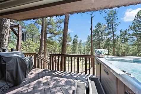 29906 Troutdale Park Place Evergreen CO 80439
