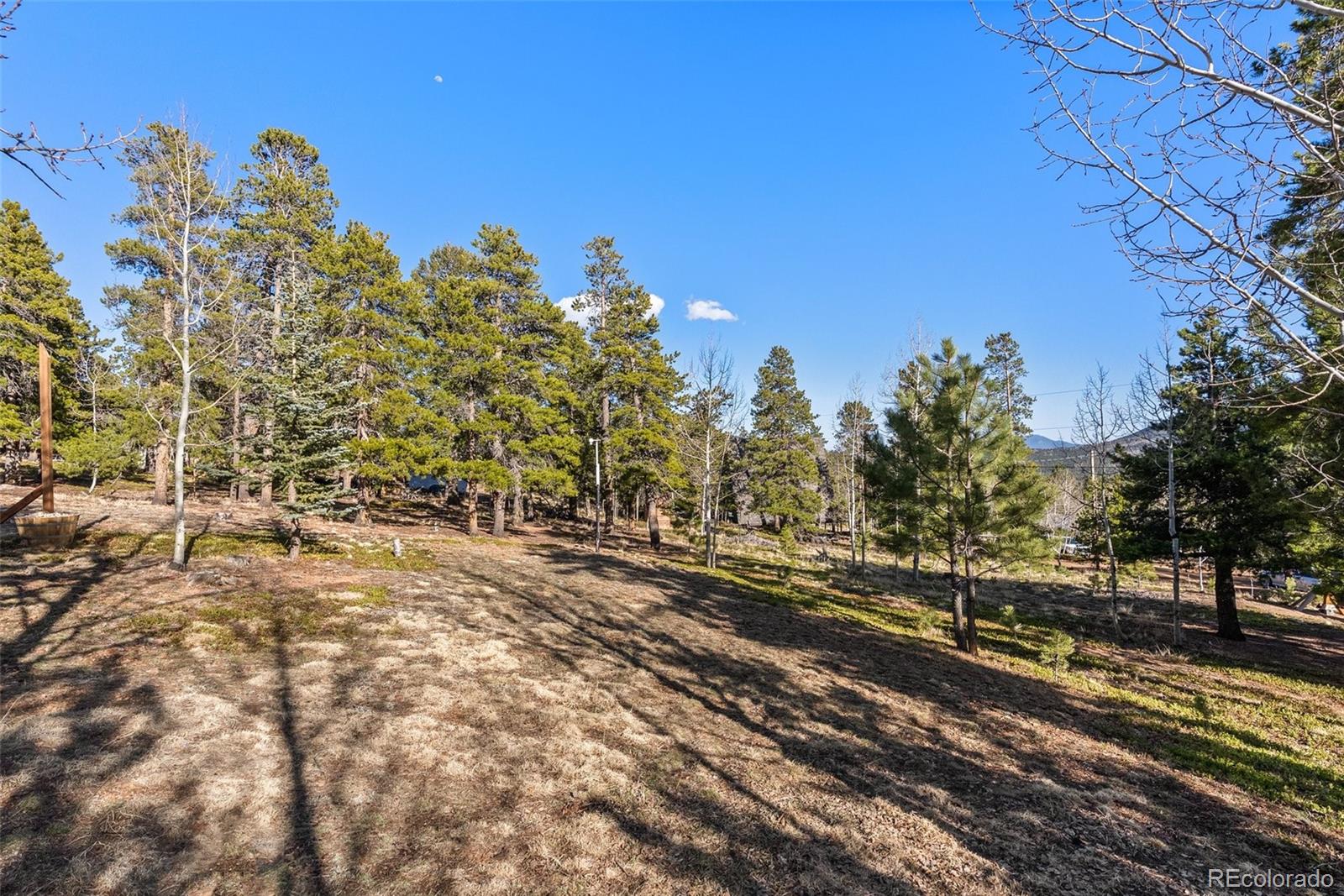 381 Highlands Drive Bailey CO 80421