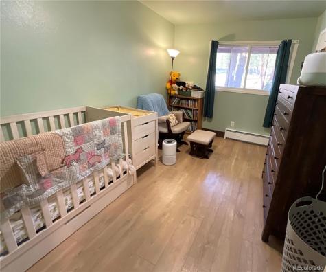 1776 County Road 4 Leadville CO 80461