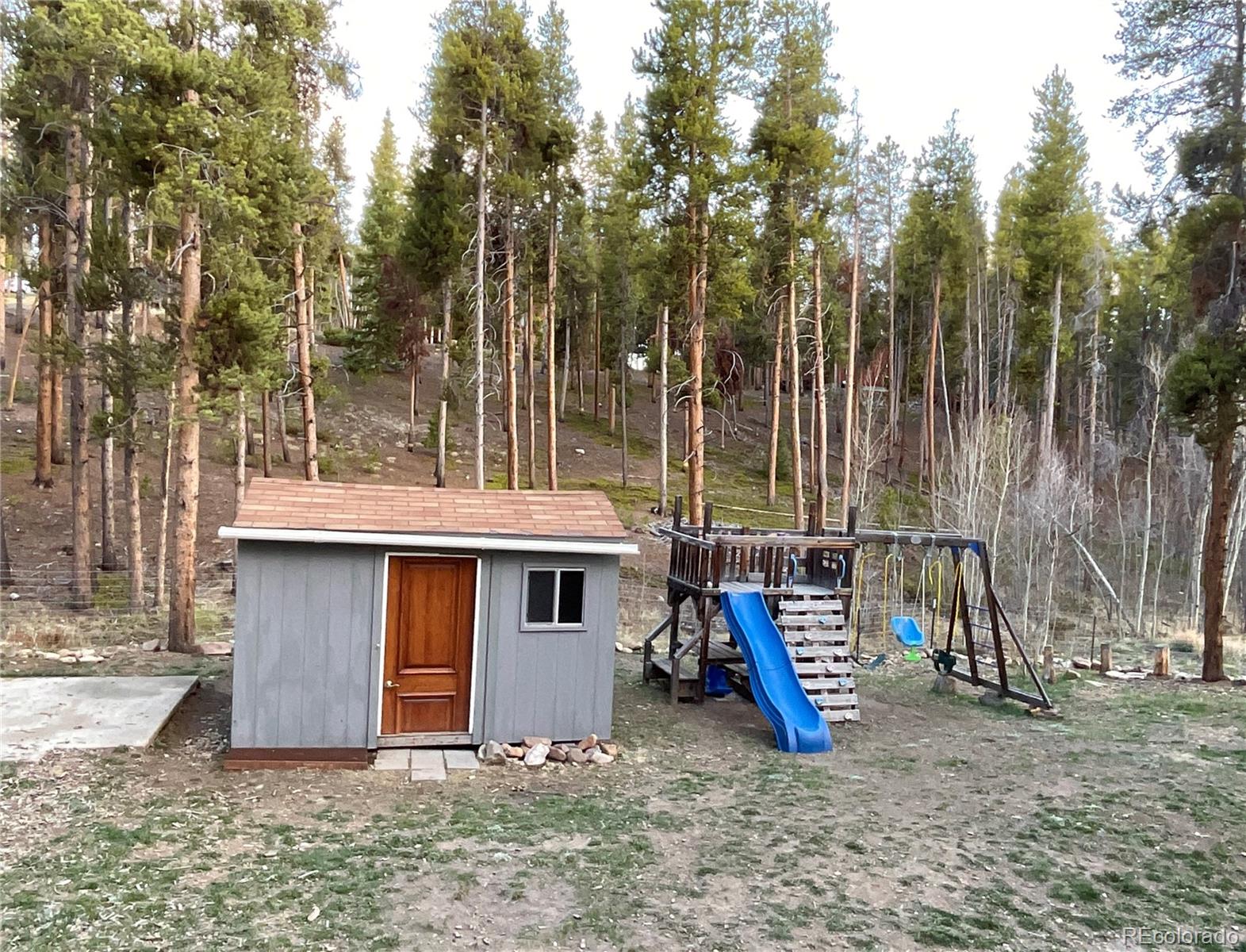 1776 County Road 4 Leadville CO 80461