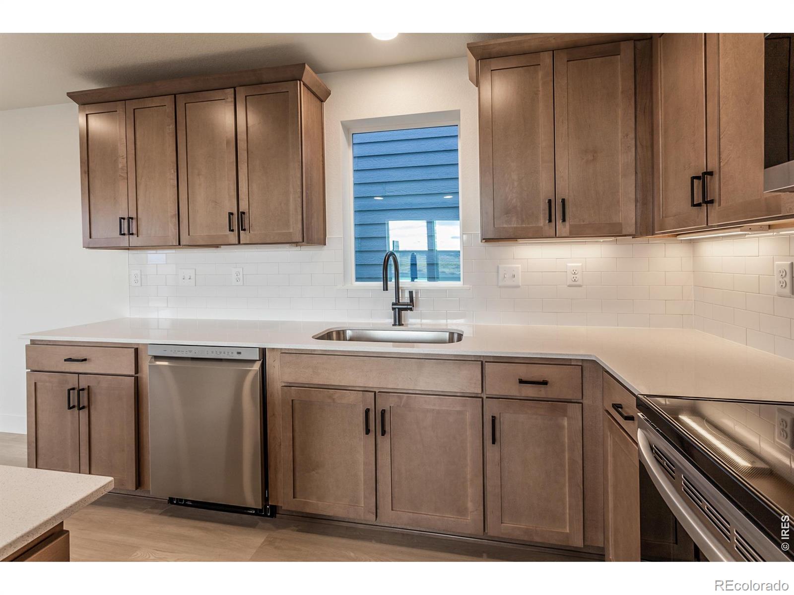 947 Trumpet Lane Windsor CO 80550