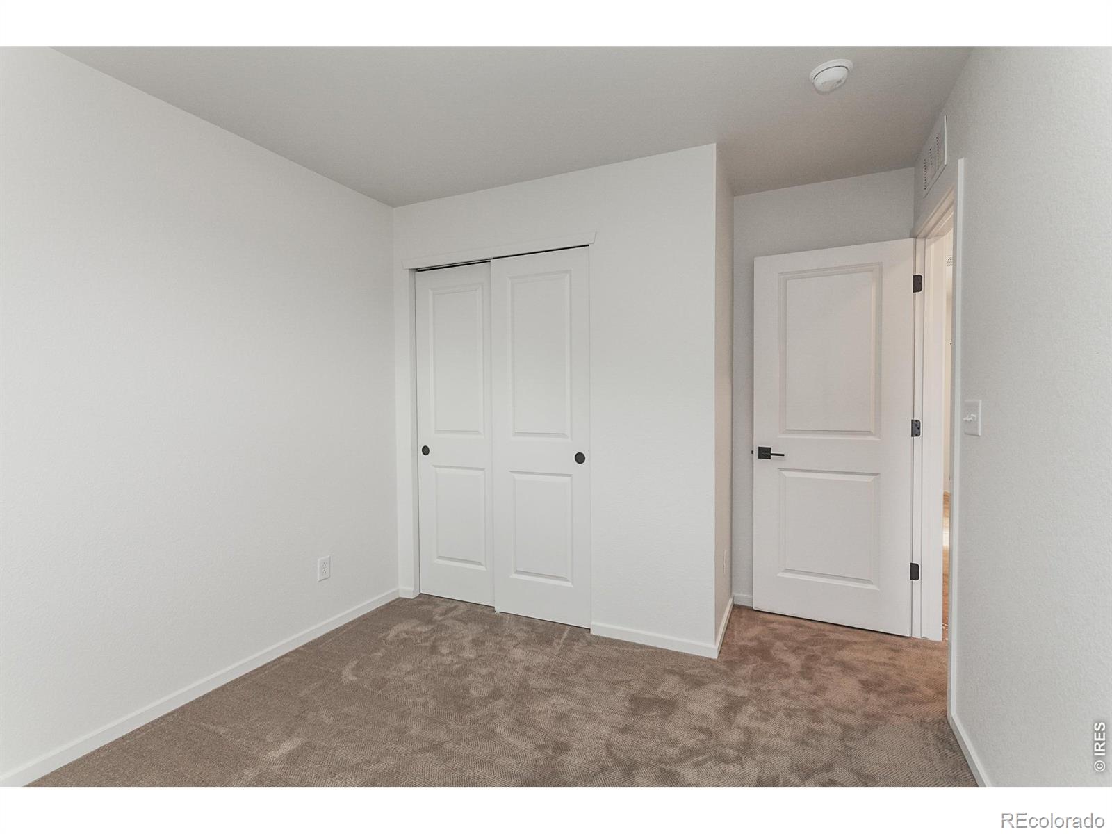 947 Trumpet Lane Windsor CO 80550