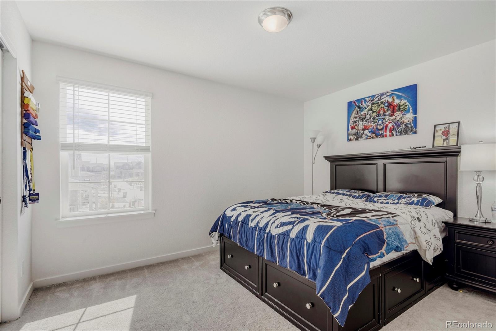 8986 Woodmere Court Parker CO 80134