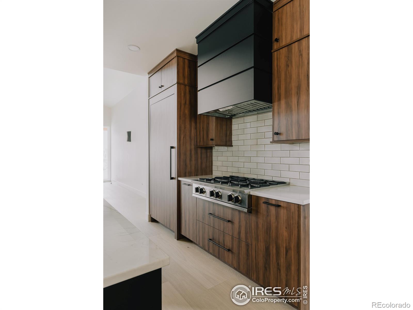 1531 Christina Court Timnath CO 80547