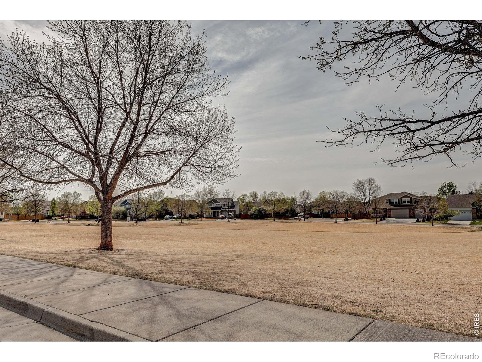 3825 Panther Drive Loveland CO 80537