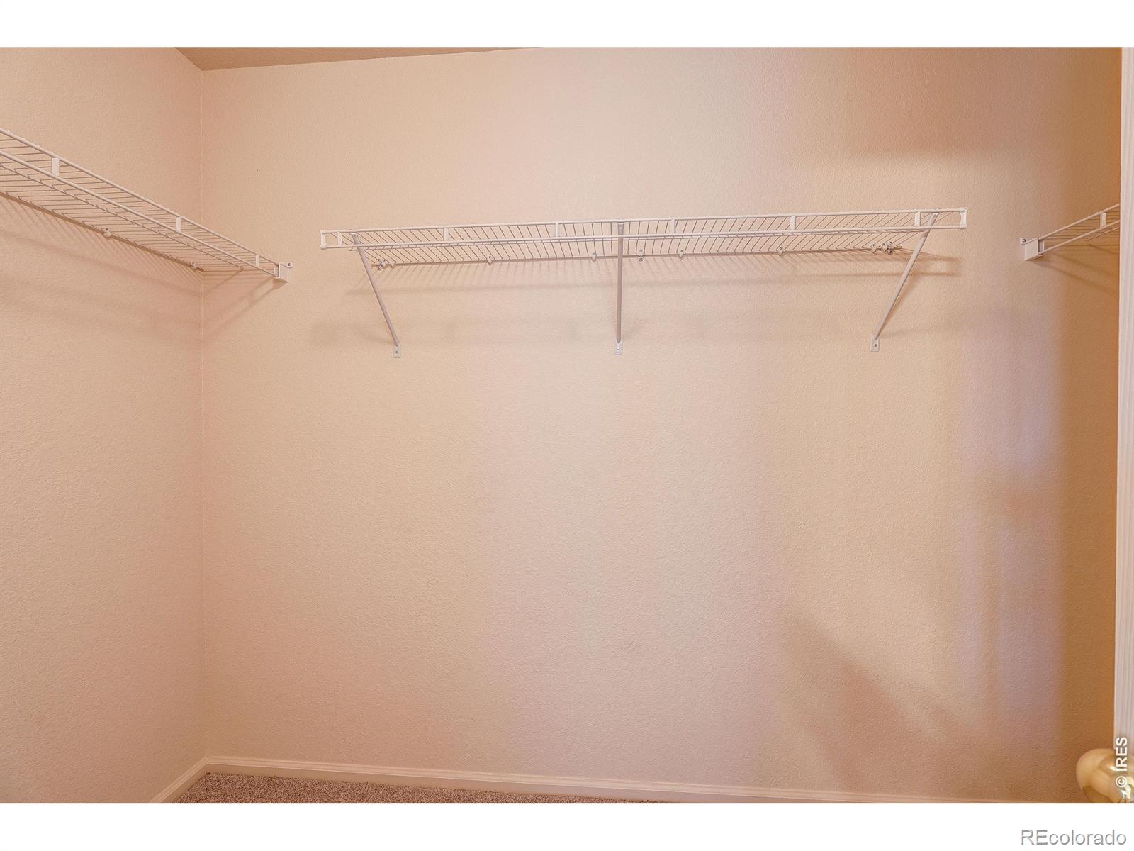 3825 Panther Drive Loveland CO 80537