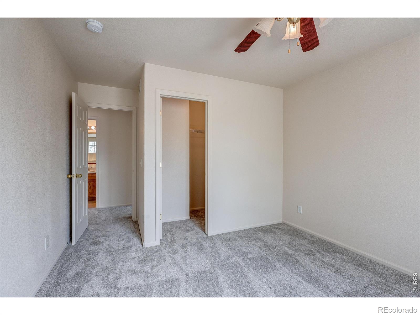 3825 Panther Drive Loveland CO 80537