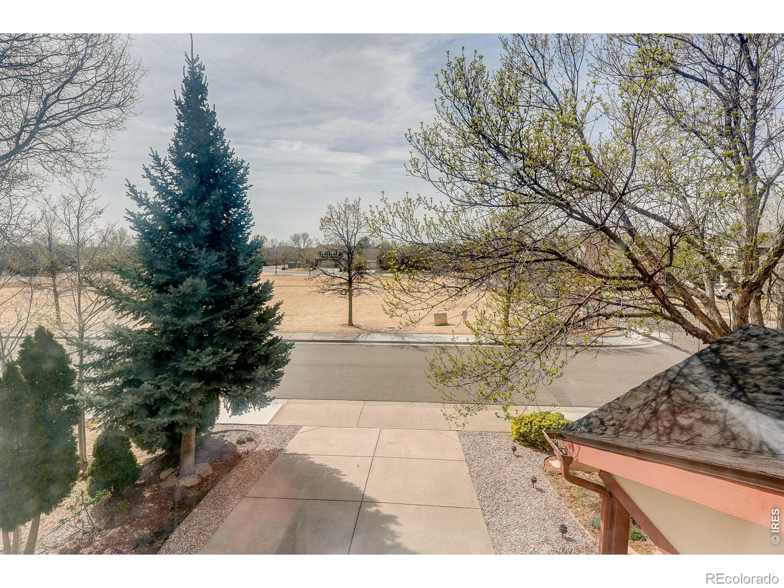 3825 Panther Drive Loveland CO 80537