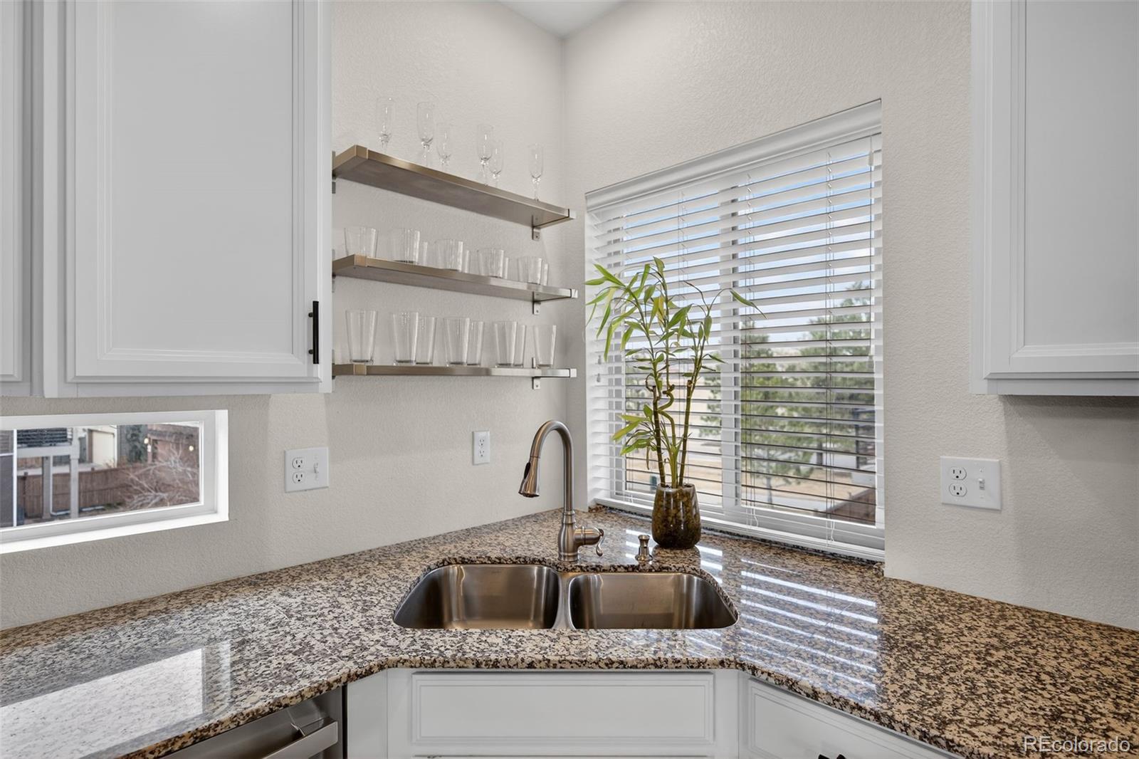 4438 Vindaloo Drive Castle Rock CO 80109