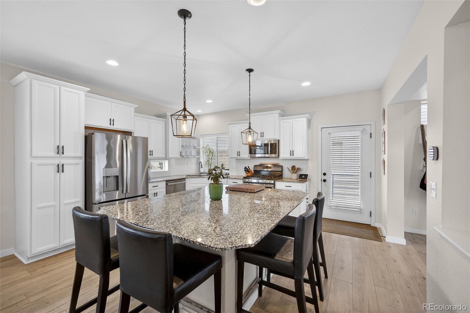 4438 Vindaloo Drive Castle Rock CO 80109