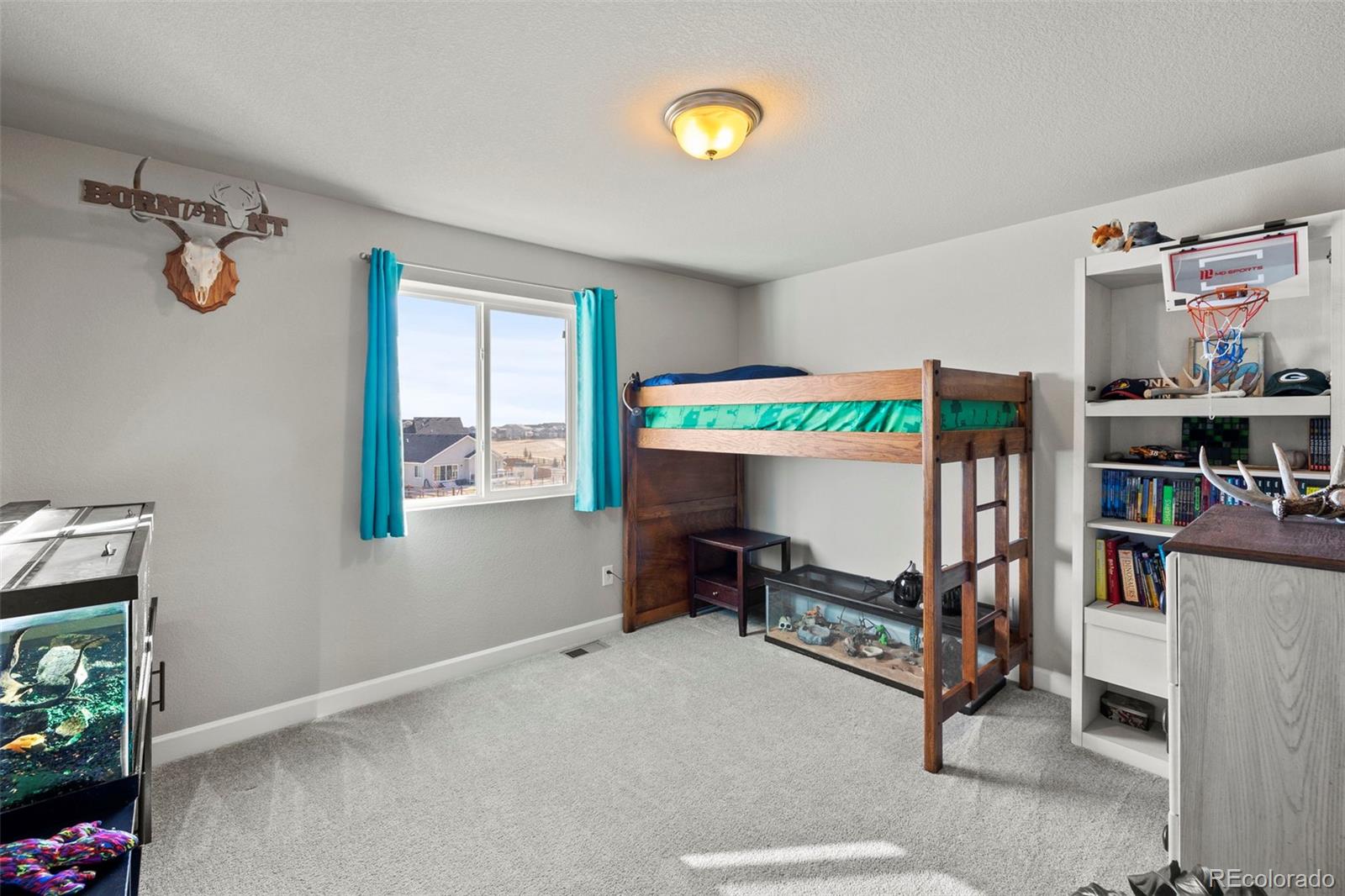 13153 Crooked Hill Drive Peyton CO 80831
