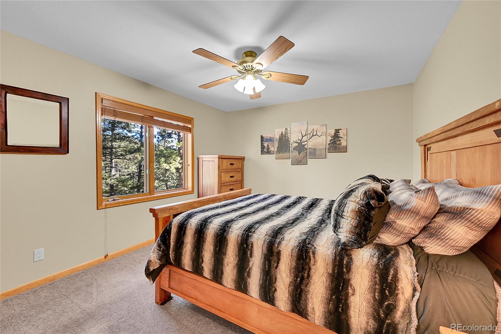502 County Road 1034 Bailey CO 80421